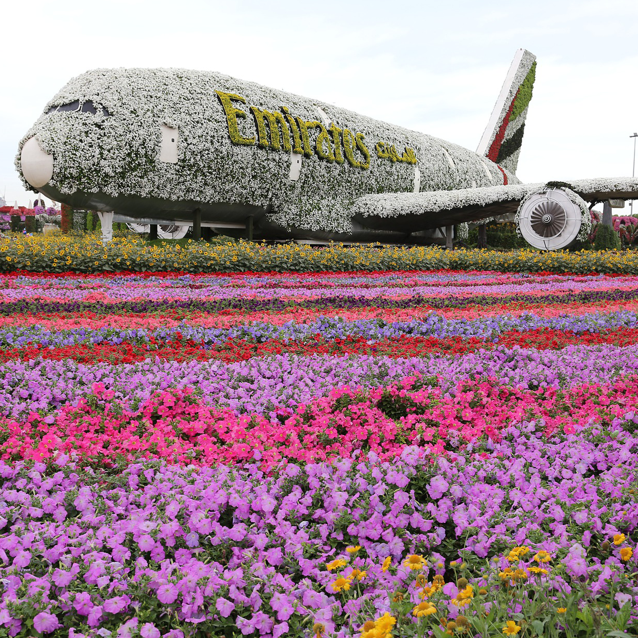 Dubai & Abu Dhabi - 2026